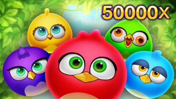 🥇Birds Party