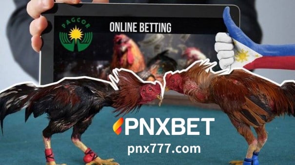 Ang lahat ng impormasyon tungkol sa sabong online casino Philippines ay nasa artikulong ito ng PNXBET.