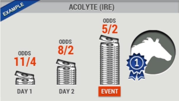 Halimbawa ng Fractional Odds