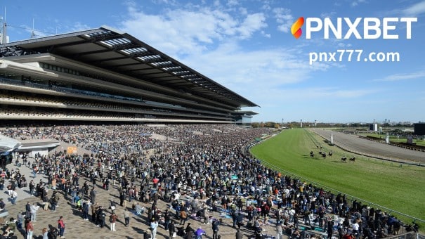 Tokyo Racecourse, Japan