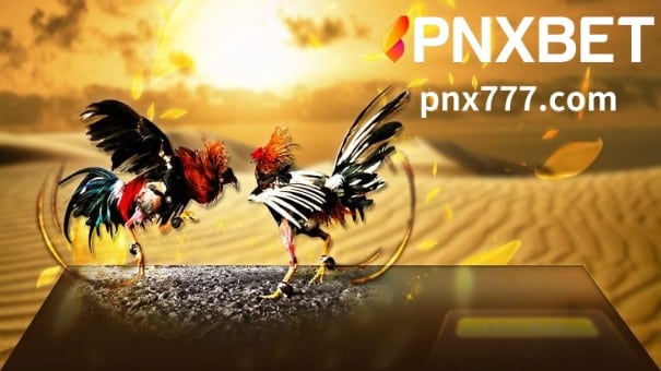 Ang Online Sabong card ay isa sa pinakasikat na online na pagsusugal o laro sa PNXBET online casino ngayon.